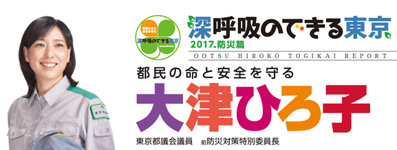 深呼吸のできる東京 都民の声が、思いが届く、見える都政に 都民の命と
安全を守る 大津ひろ子