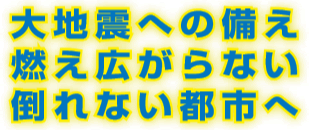 大地震への備え 燃え広がらない 倒れない都市へ