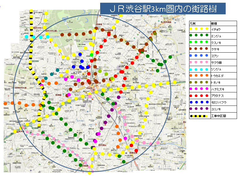 danwa_20090630_1.jpg